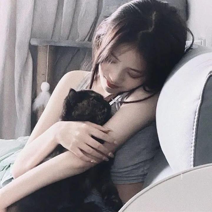 想飞的骆驼宝宝